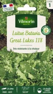 Laitue Batavia Great Lakes 119